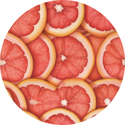 Fruit Car Coasters – Cute Absorbent Cup Holder Coasters | Citrus, Strawberry, Watermelon | Summer Car Accessories for Women - Set of 2