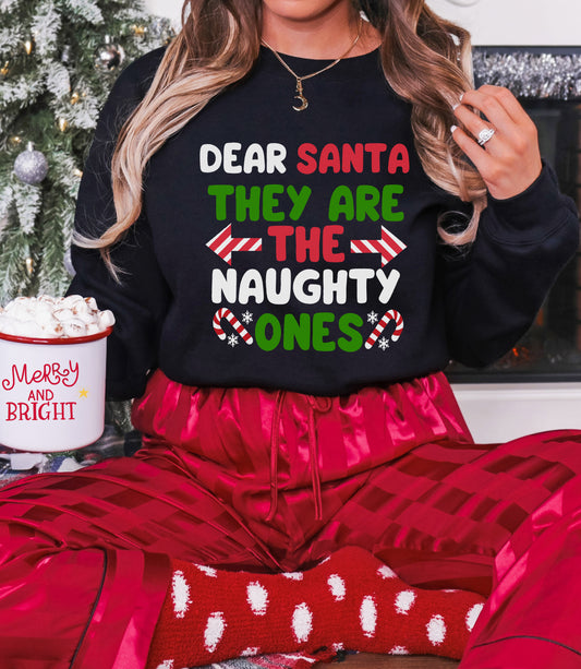 Dear Santa Shirt – Funny Xmas Tee – Naughty List Christmas Hoodie, Sweatshirt, Infant, Adult Sizes