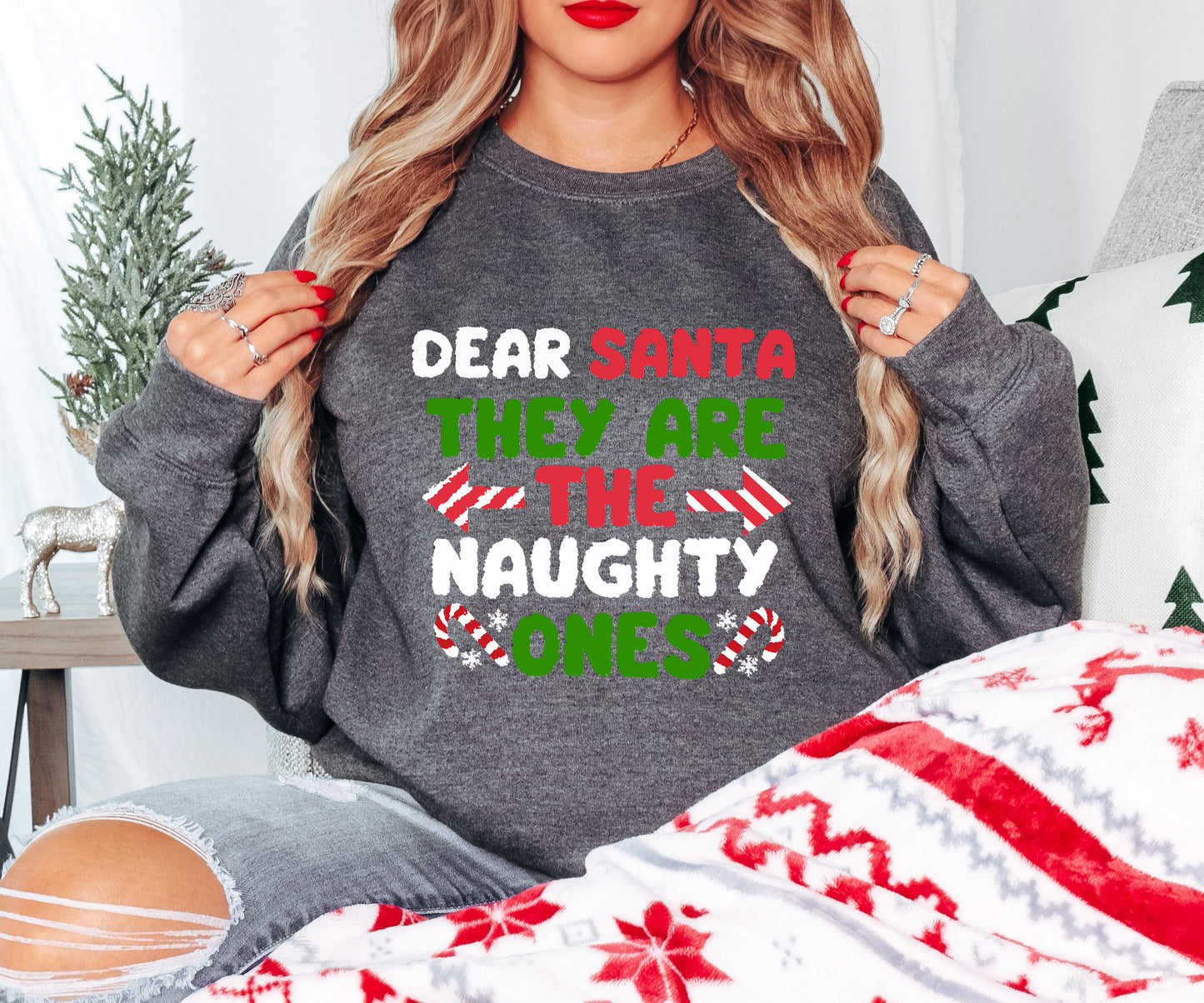 Dear Santa Shirt – Funny Xmas Tee – Naughty List Christmas Hoodie, Sweatshirt, Infant, Adult Sizes