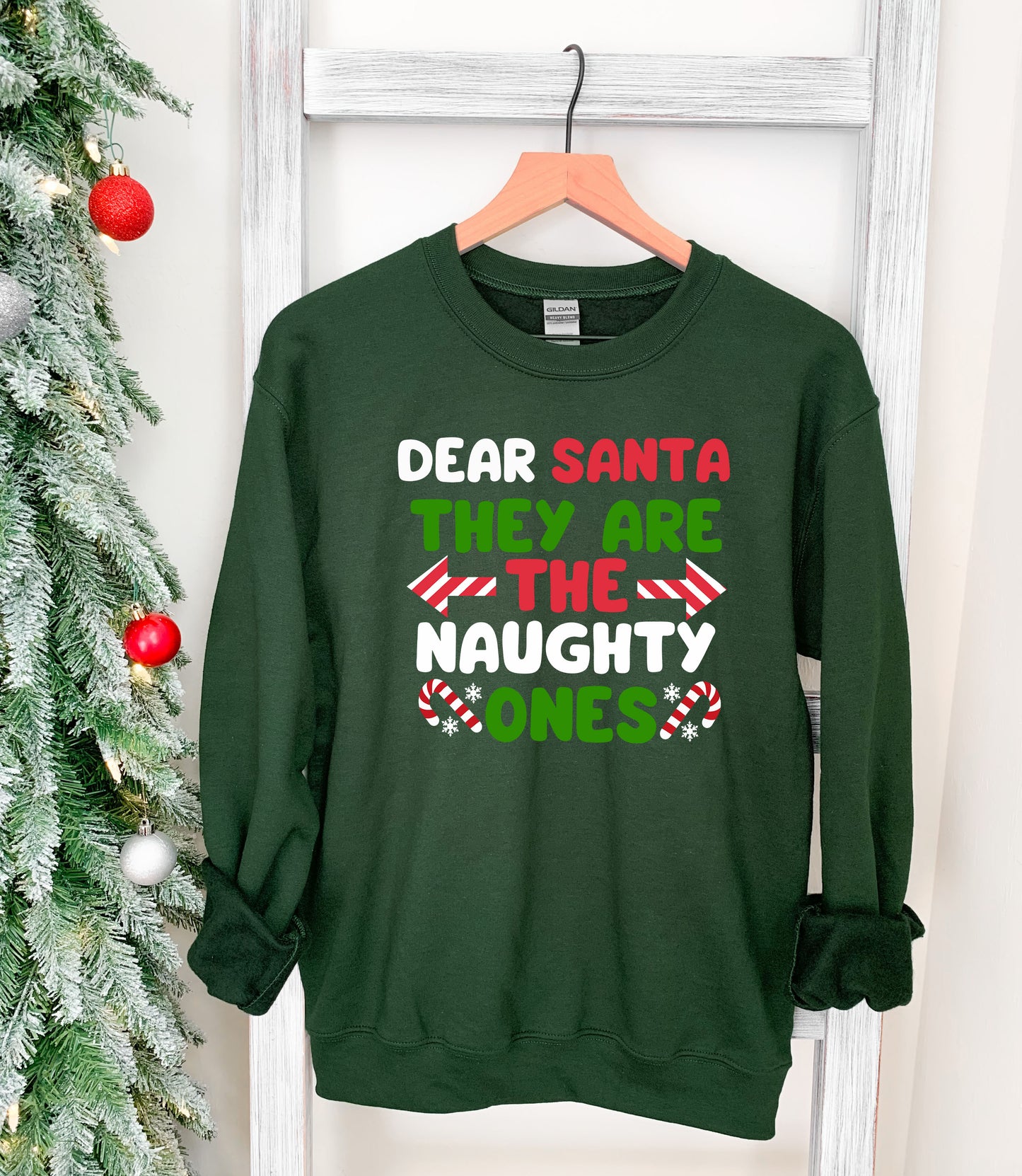 Dear Santa Shirt – Funny Xmas Tee – Naughty List Christmas Hoodie, Sweatshirt, Infant, Adult Sizes