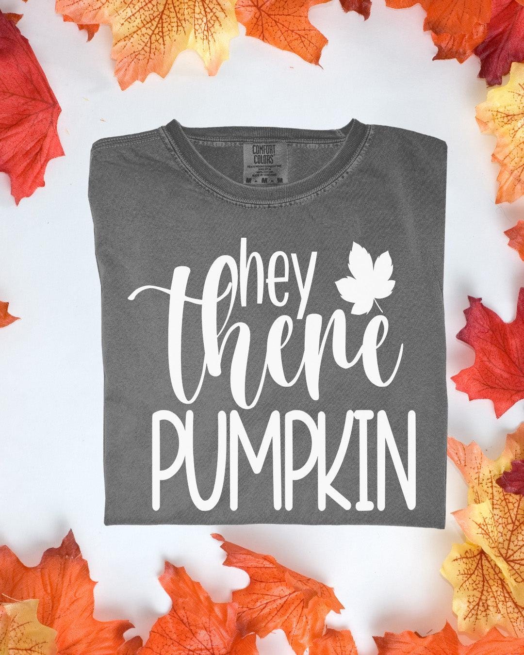 Hey There Pumpkin Comfort Colors Tee Autumn Graphic TShirt Cozy Fall Outfit Customizoo