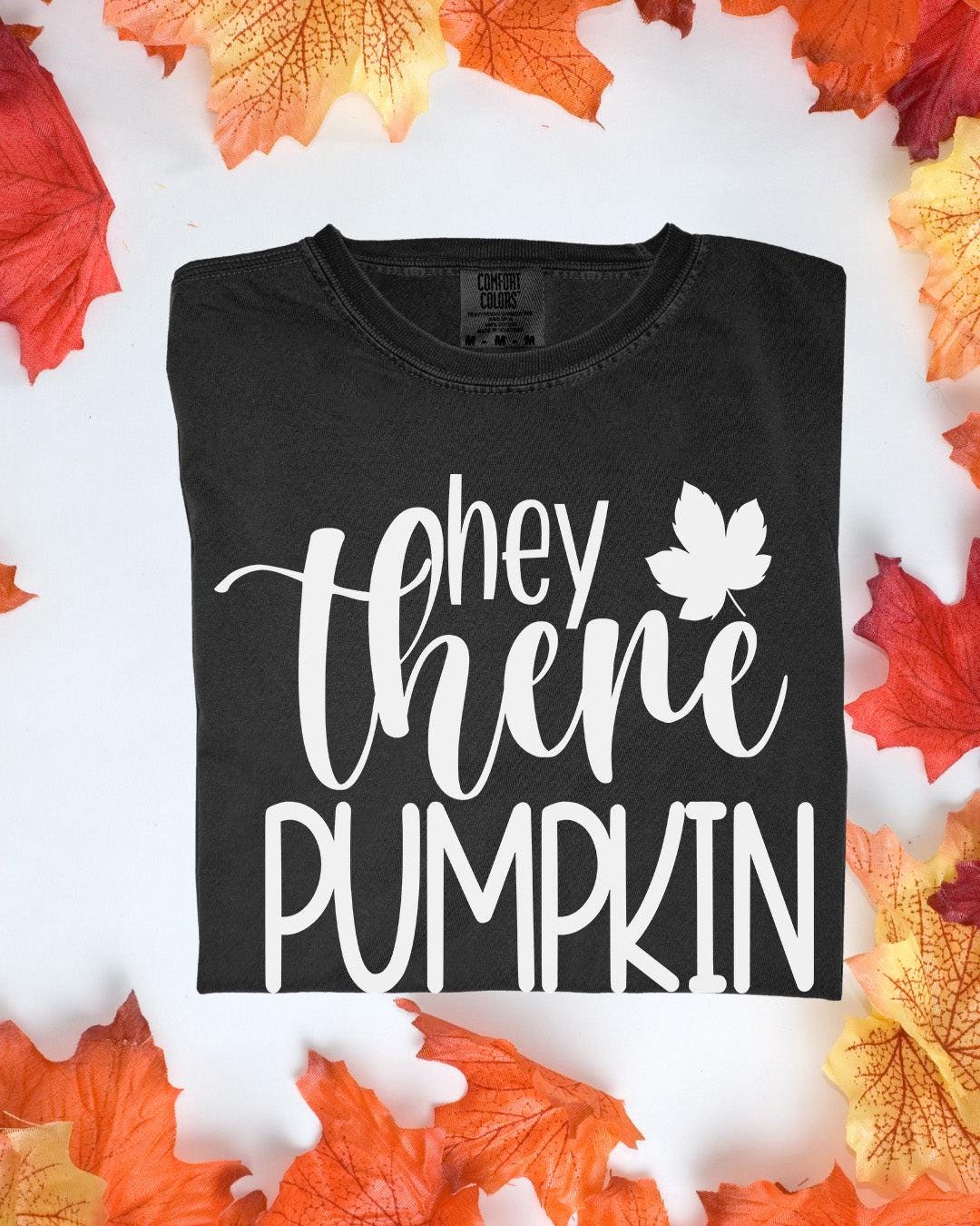 Hey There Pumpkin Comfort Colors Tee Autumn Graphic TShirt Cozy Fall Outfit Customizoo
